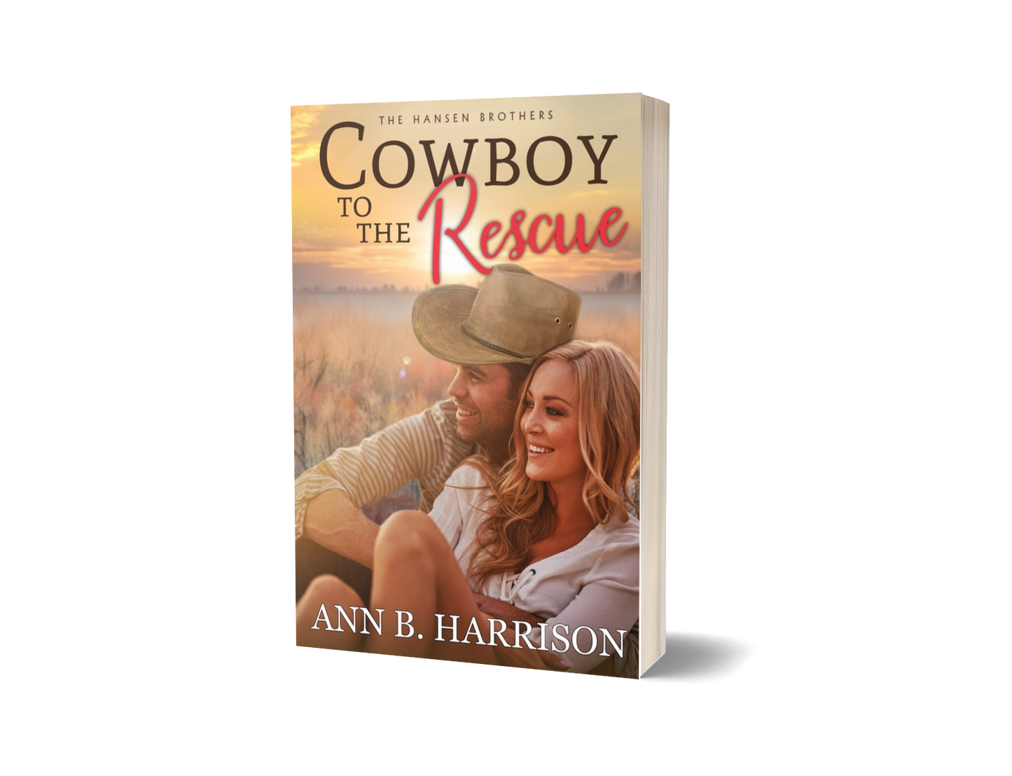 Hansen Brothers | Cowboy To The Rescue - Print signed by author